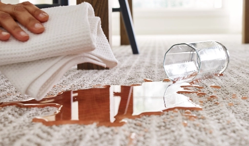 Carpet care | Calvetta Brothers Mentor