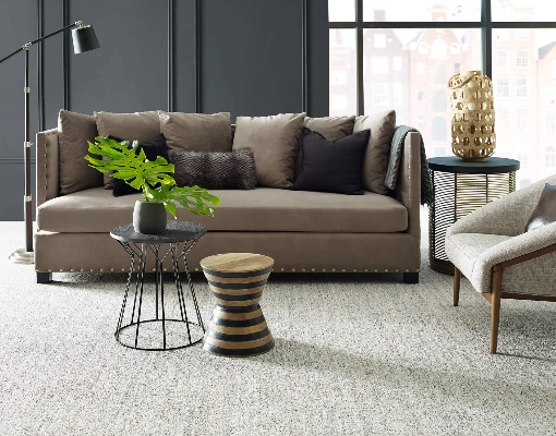 Living room carpet | Calvetta Brothers Mentor