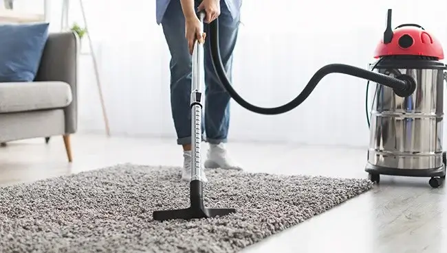 Area rug care | Calvetta Brothers Mentor